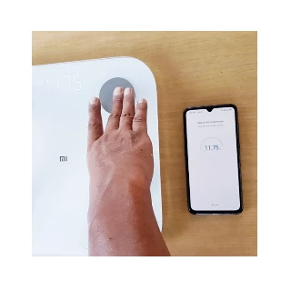 Xiaomi Mi Smart Scale 2