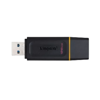 Kingston USB Flash memorija 128GB DTX/128GB
