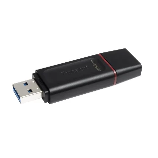 Kingston USB Flash memorija 256GB DTX/256GB