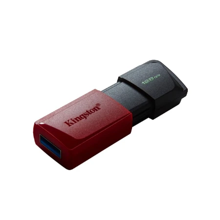 Kingston USB Flash memorija 128GB DTXM/128GB