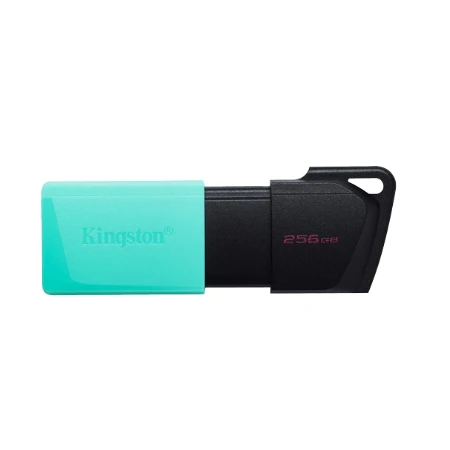 Kingston Flash memorija 256GB